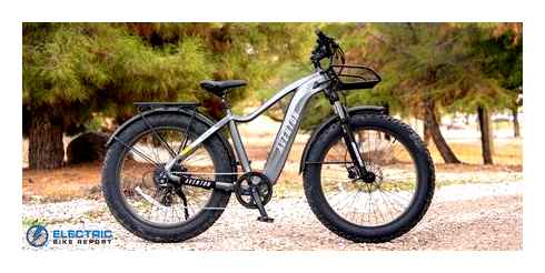 best, electric, bikes, top-rated, ebikes, every