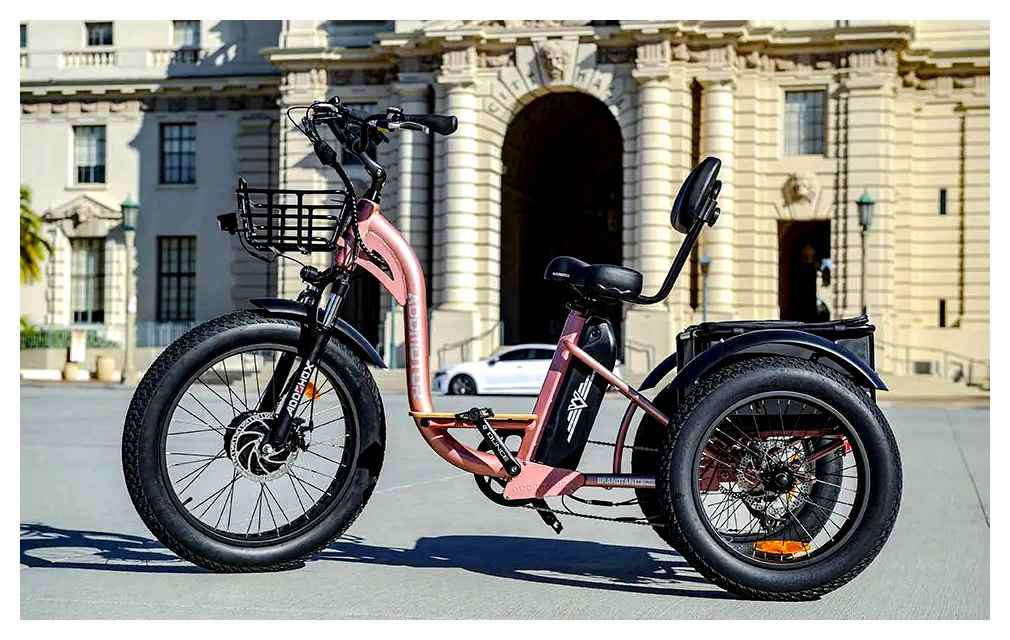 electric, bike, trike, which, choose, motorbike