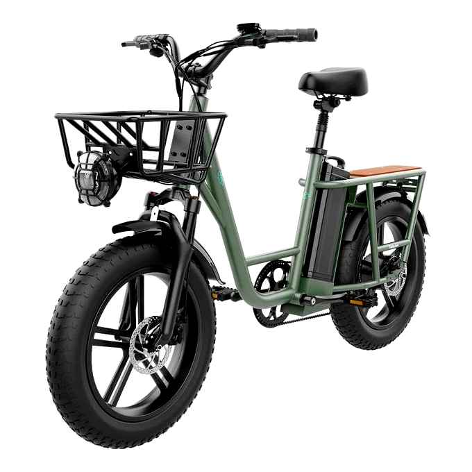 fiido, 20ah, 750w, electric, cargo, bike