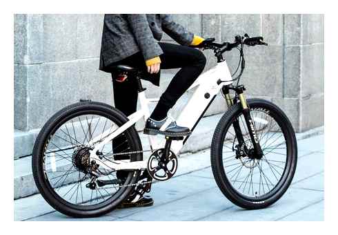 himo, review, xiaomi, electric, bike