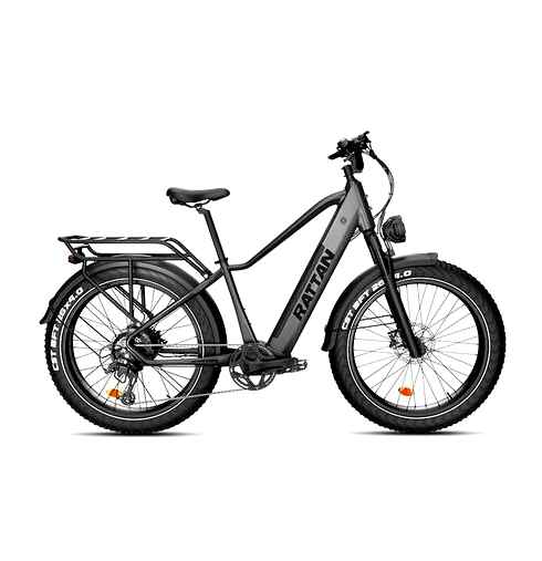 pathfinder, 750w, tire, rattan, electric, bike